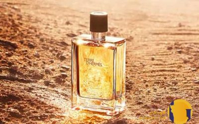 معرفی کامل عطر تر د هرمس (Terre d’Hermes) شاهکار مردانه