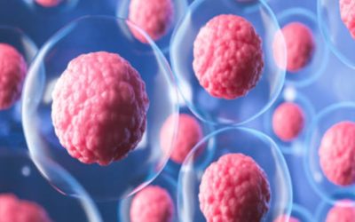 تزریق سلول بنیادی | درمانی نوین برای بازسازی بافتهای آسیبدیده