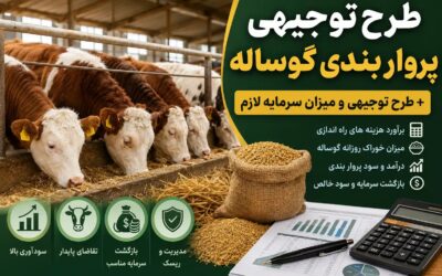 صفر تا صد طرح توجیهی پروار بندی گوساله + برآورد هزینه و درآمد