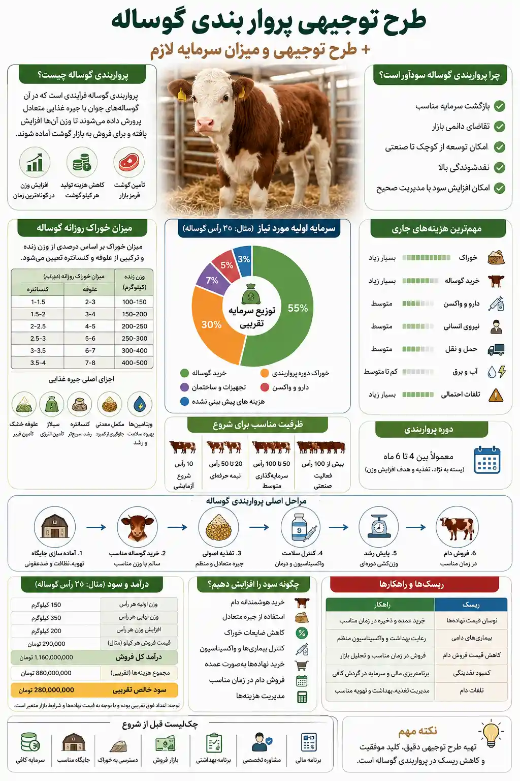 اینفوگرافیک پرواربندی گوساله