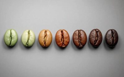 خرید قهوه؛ چگونه قهوه مناسب سلیقه و روش دمآوری خود را انتخاب کنیم؟